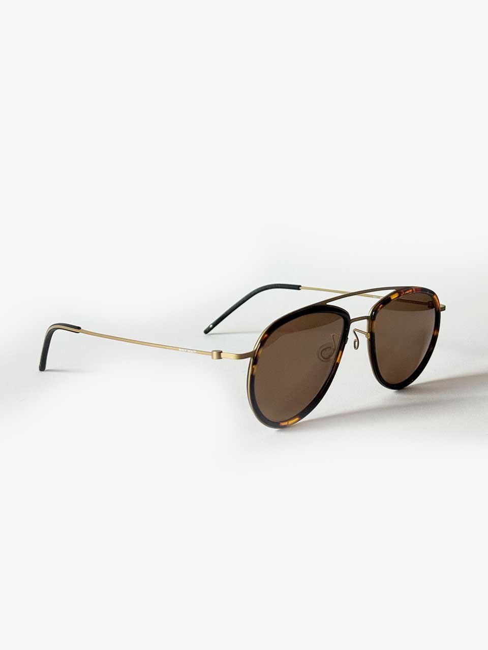 GAFAS_AARON2